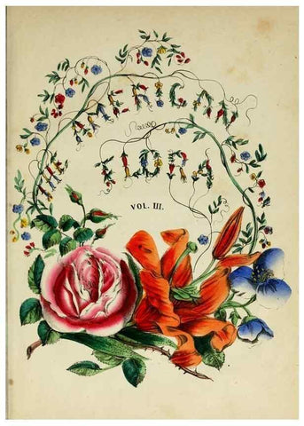 Reproducción/Reproduction 10172587056: The American flora :. New York :Hull & Spencer,1855.