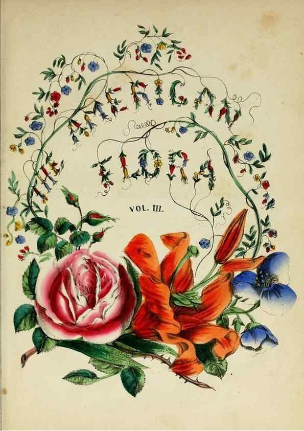 Reproducción/Reproduction 10172587056: The American flora :. New York :Hull & Spencer,1855.
