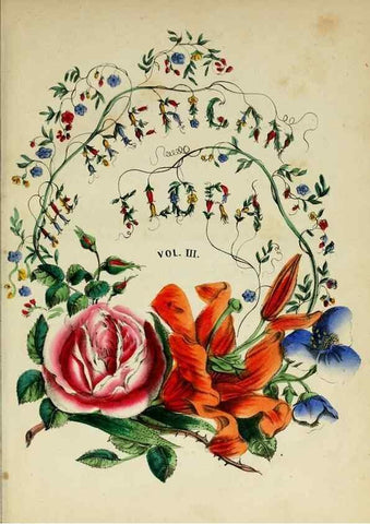 Reproducción/Reproduction 10172587056: The American flora :. New York :Hull & Spencer,1855.