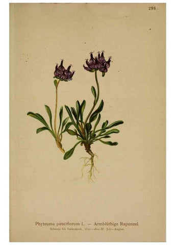 Reproducción/Reproduction 10192396266: Atlas der Alpenflora /. Wien :Eigenthum und Verlag des Deutschen und Oesterr. Alpenvereins,1882.