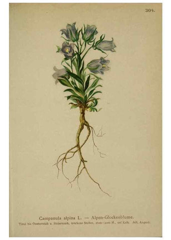 Reproducción/Reproduction 10192424296: Atlas der Alpenflora /. Wien :Eigenthum und Verlag des Deutschen und Oesterr. Alpenvereins,1882.