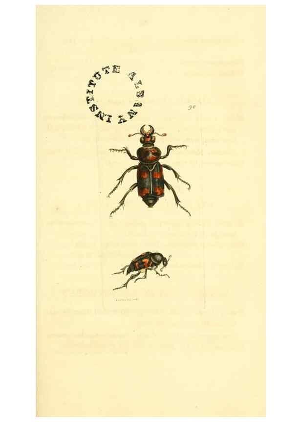 Reproducción/Reproduction 10041099076: The zoological miscellany :. London :Printed by B. McMillan for E. Nodder & Son and sold by all booksellers,1814-1817.