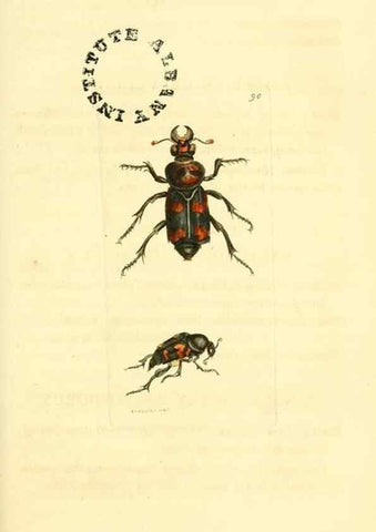 Reproducción/Reproduction 10041099076: The zoological miscellany :. London :Printed by B. McMillan for E. Nodder & Son and sold by all booksellers,1814-1817.