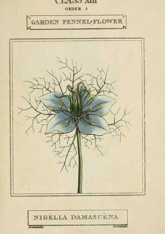 Reproducción/Reproduction 9901695796: Elements of the science of botany,. London,Printed by T. Bensley for J. Murray.1812.