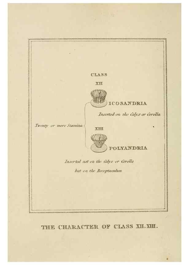 Reproducción/Reproduction 9901758053: Elements of the science of botany,. London,Printed by T. Bensley for J. Murray.1812.