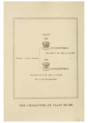 Reproducción/Reproduction 9901758053: Elements of the science of botany,. London,Printed by T. Bensley for J. Murray.1812.