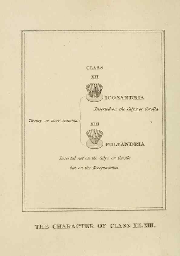 Reproducción/Reproduction 9901758053: Elements of the science of botany,. London,Printed by T. Bensley for J. Murray.1812.