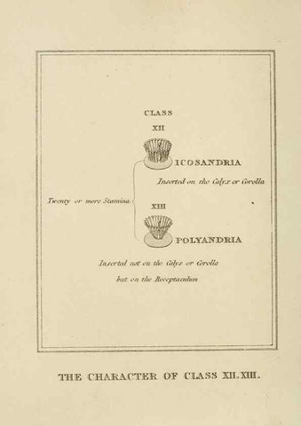 Reproducción/Reproduction 9901758053: Elements of the science of botany,. London,Printed by T. Bensley for J. Murray.1812.