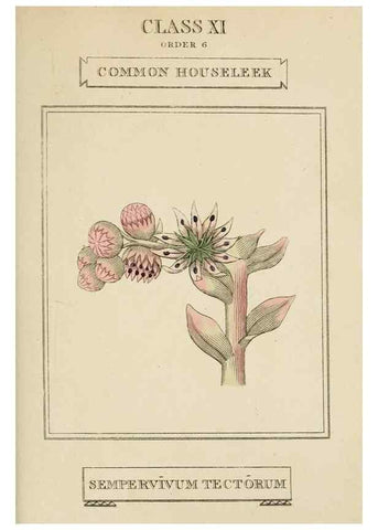 Reproducción/Reproduction 9901664614: Elements of the science of botany,. London,Printed by T. Bensley for J. Murray.1812.