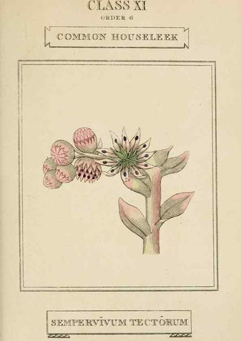 Reproducción/Reproduction 9901664614: Elements of the science of botany,. London,Printed by T. Bensley for J. Murray.1812.