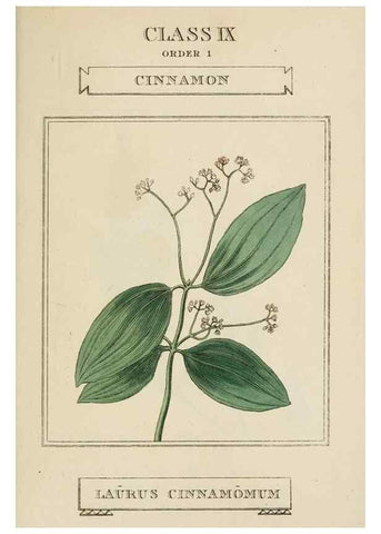 Reproducción/Reproduction 9901344313: Elements of the science of botany,. London,Printed by T. Bensley for J. Murray.1812.