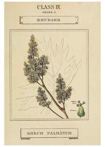 Reproducción/Reproduction 9901203125: Elements of the science of botany,. London,Printed by T. Bensley for J. Murray.1812.