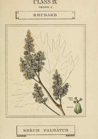Reproducción/Reproduction 9901203125: Elements of the science of botany,. London,Printed by T. Bensley for J. Murray.1812.