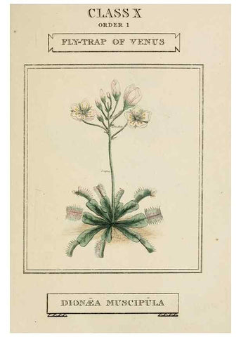 Reproducción/Reproduction 9901357503: Elements of the science of botany,. London,Printed by T. Bensley for J. Murray.1812.