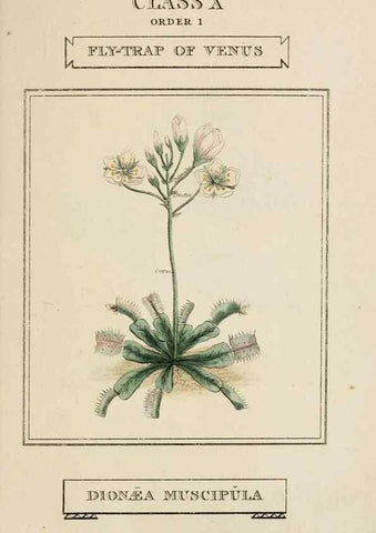 Reproducción/Reproduction 9901357503: Elements of the science of botany,. London,Printed by T. Bensley for J. Murray.1812.