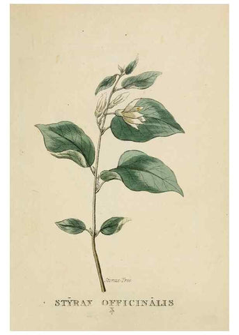 Reproducción/Reproduction 9901216355: Elements of the science of botany,. London,Printed by T. Bensley for J. Murray.1812.