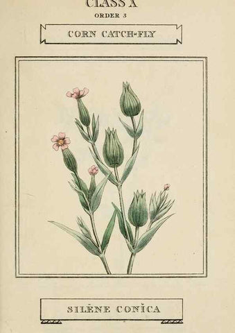 Reproducción/Reproduction 9901224865: Elements of the science of botany,. London,Printed by T. Bensley for J. Murray.1812.