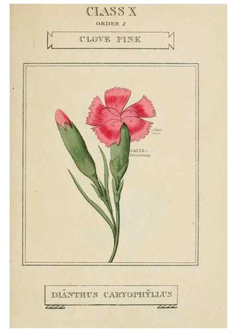 Reproducción/Reproduction 9901276124: Elements of the science of botany,. London,Printed by T. Bensley for J. Murray.1812.