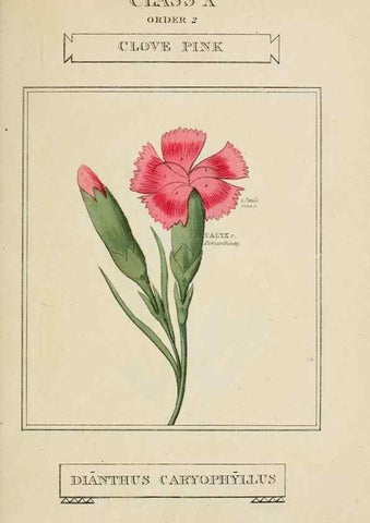 Reproducción/Reproduction 9901276124: Elements of the science of botany,. London,Printed by T. Bensley for J. Murray.1812.