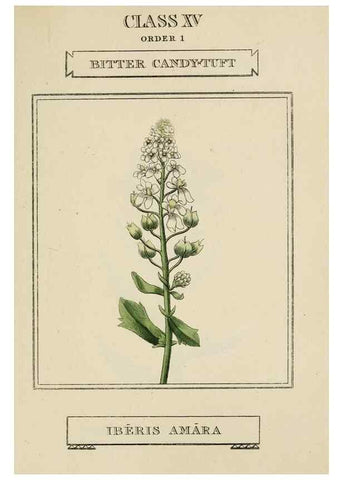 Reproducción/Reproduction 9901760446: Elements of the science of botany,. London,Printed by T. Bensley for J. Murray.1812.