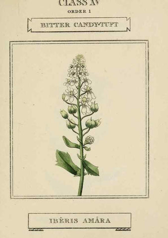 Reproducción/Reproduction 9901760446: Elements of the science of botany,. London,Printed by T. Bensley for J. Murray.1812.