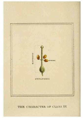 Reproducción/Reproduction 9901888394: Elements of the science of botany,. London,Printed by T. Bensley for J. Murray.1812.