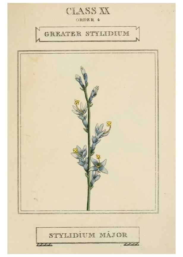 Reproducción/Reproduction 9902123224: Elements of the science of botany,. London,Printed by T. Bensley for J. Murray.1812.