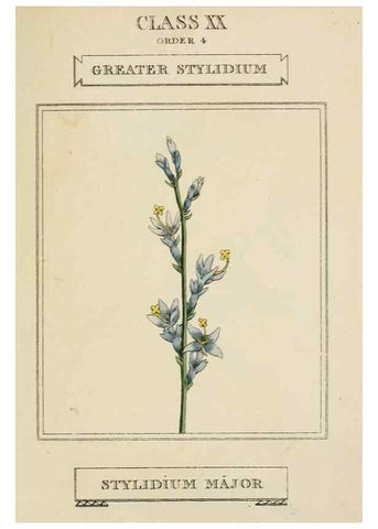 Reproducción/Reproduction 9902123224: Elements of the science of botany,. London,Printed by T. Bensley for J. Murray.1812.
