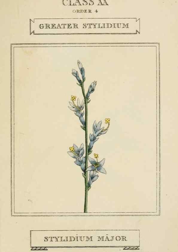 Reproducción/Reproduction 9902123224: Elements of the science of botany,. London,Printed by T. Bensley for J. Murray.1812.