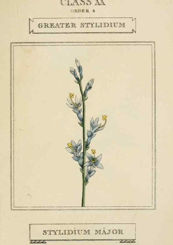 Reproducción/Reproduction 9902123224: Elements of the science of botany,. London,Printed by T. Bensley for J. Murray.1812.