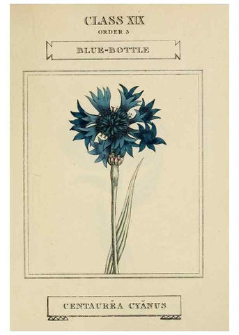 Reproducción/Reproduction 9901873884: Elements of the science of botany,. London,Printed by T. Bensley for J. Murray.1812.