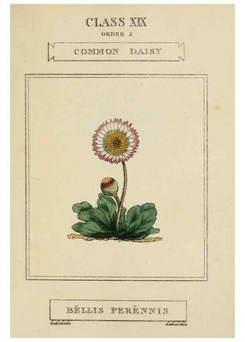 Reproducción/Reproduction 9901955443: Elements of the science of botany,. London,Printed by T. Bensley for J. Murray.1812.
