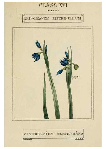 Reproducción/Reproduction 9901730725: Elements of the science of botany,. London,Printed by T. Bensley for J. Murray.1812.