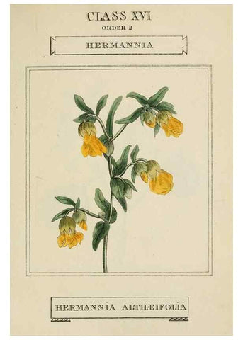 Reproducción/Reproduction 9901734665: Elements of the science of botany,. London,Printed by T. Bensley for J. Murray.1812.
