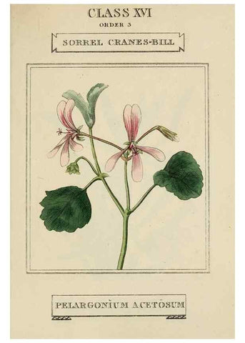 Reproducción/Reproduction 9901887523: Elements of the science of botany,. London,Printed by T. Bensley for J. Murray.1812.
