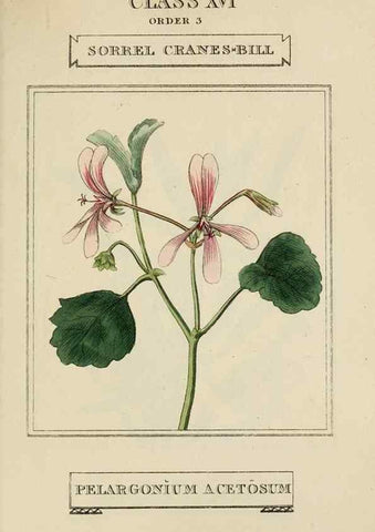 Reproducción/Reproduction 9901887523: Elements of the science of botany,. London,Printed by T. Bensley for J. Murray.1812.