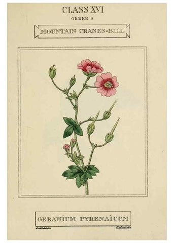 Reproducción/Reproduction 9901897263: Elements of the science of botany,. London,Printed by T. Bensley for J. Murray.1812.