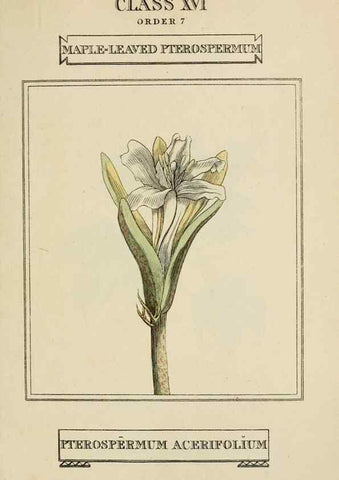 Reproducción/Reproduction 9901818814: Elements of the science of botany,. London,Printed by T. Bensley for J. Murray.1812.