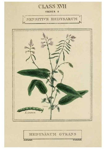 Reproducción/Reproduction 9901841864: Elements of the science of botany,. London,Printed by T. Bensley for J. Murray.1812.