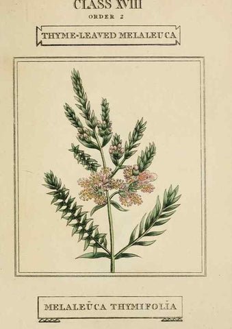 Reproducción/Reproduction 9901832836: Elements of the science of botany,. London,Printed by T. Bensley for J. Murray.1812.