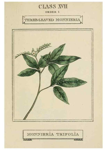 Reproducción/Reproduction 9901827774: Elements of the science of botany,. London,Printed by T. Bensley for J. Murray.1812.
