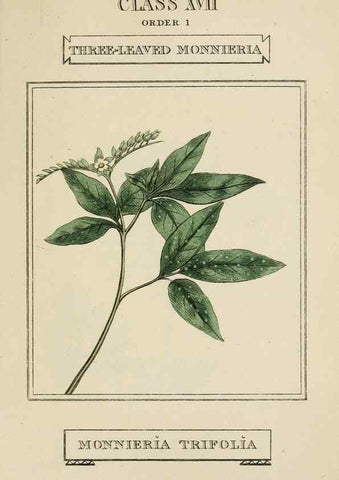 Reproducción/Reproduction 9901827774: Elements of the science of botany,. London,Printed by T. Bensley for J. Murray.1812.