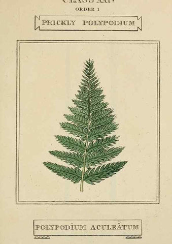 Reproducción/Reproduction 9900612923: Elements of the science of botany,. London,Printed by T. Bensley for J. Murray.1812.