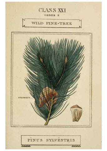 Reproducción/Reproduction 9900431256: Elements of the science of botany,. London,Printed by T. Bensley for J. Murray.1812.