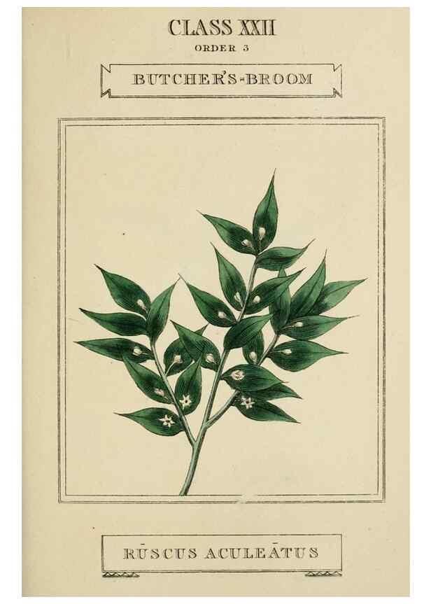 Reproducción/Reproduction 9900465384: Elements of the science of botany,. London,Printed by T. Bensley for J. Murray.1812.