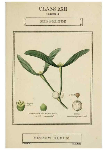 Reproducción/Reproduction 9900454936: Elements of the science of botany,. London,Printed by T. Bensley for J. Murray.1812.