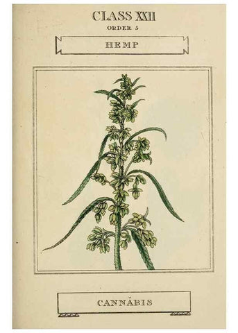 Reproducción/Reproduction 9900460426: Elements of the science of botany,. London,Printed by T. Bensley for J. Murray.1812.