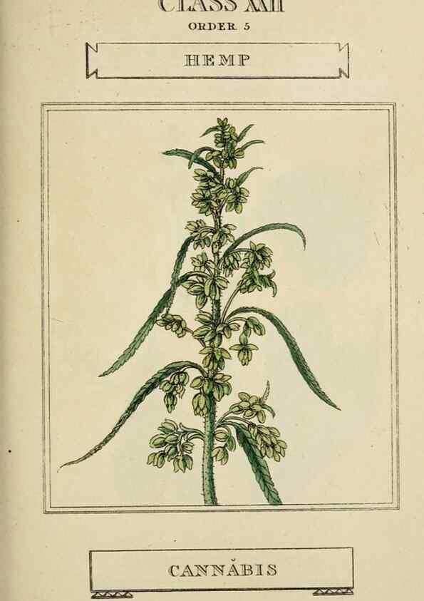 Reproducción/Reproduction 9900460426: Elements of the science of botany,. London,Printed by T. Bensley for J. Murray.1812.