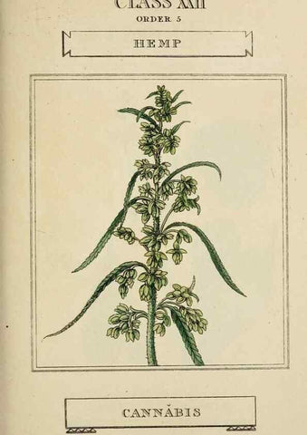 Reproducción/Reproduction 9900460426: Elements of the science of botany,. London,Printed by T. Bensley for J. Murray.1812.