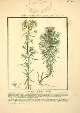 Reproducción/Reproduction 10038407235: Herbier de la France;. Paris,Chez l'auteur, Didot, Debure, Belin,1780-93.